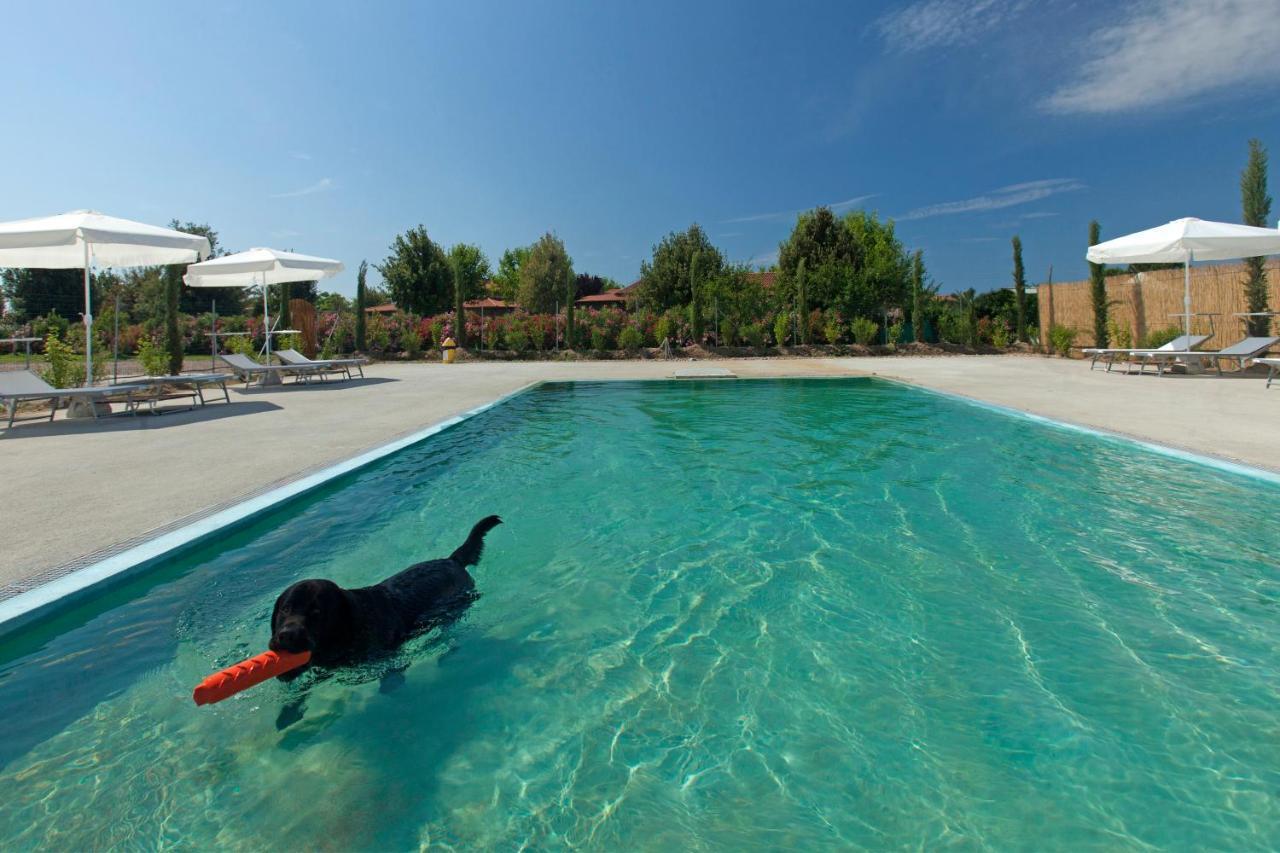 Fattoria Maremmana Aparthotel Marina di Grosseto Exteriör bild