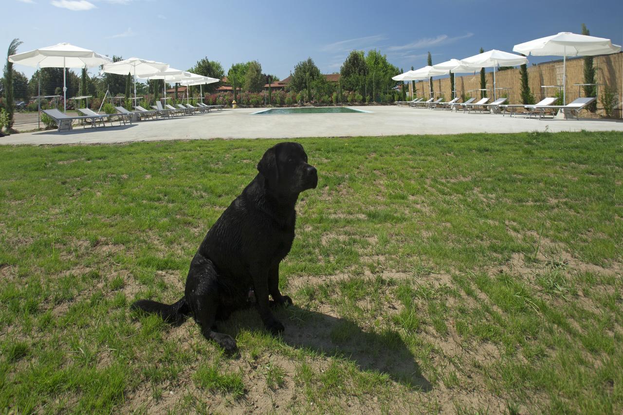 Fattoria Maremmana Aparthotel Marina di Grosseto Exteriör bild