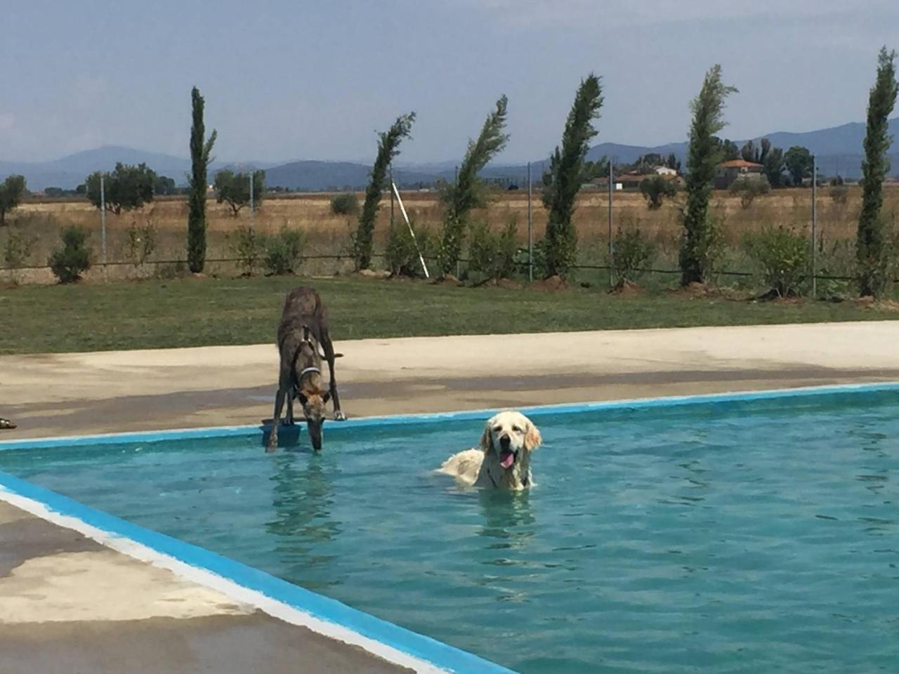 Fattoria Maremmana Aparthotel Marina di Grosseto Exteriör bild